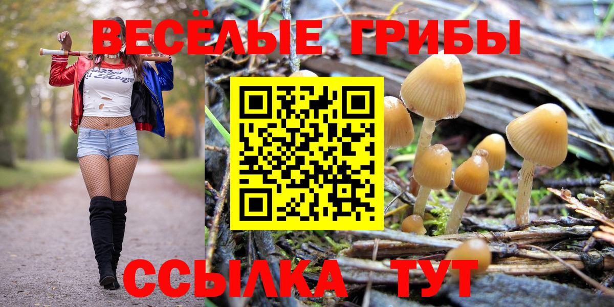 Галлюциногенные грибы Cubensis  Вход с VPN  где найти наркотики  Галлюциногенные грибы MAGIC MUSHROOMS  Лысьва 