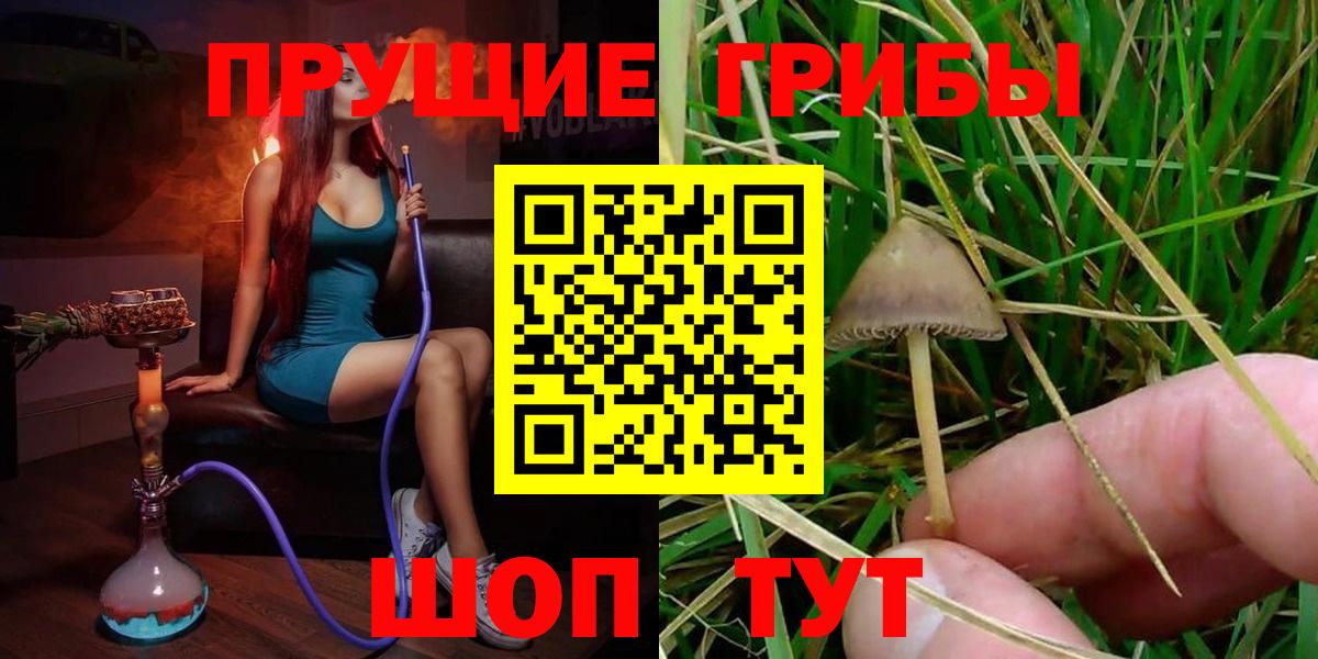 Псилоцибиновые грибы GOLDEN TEACHER Лысьва